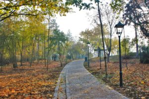 park2